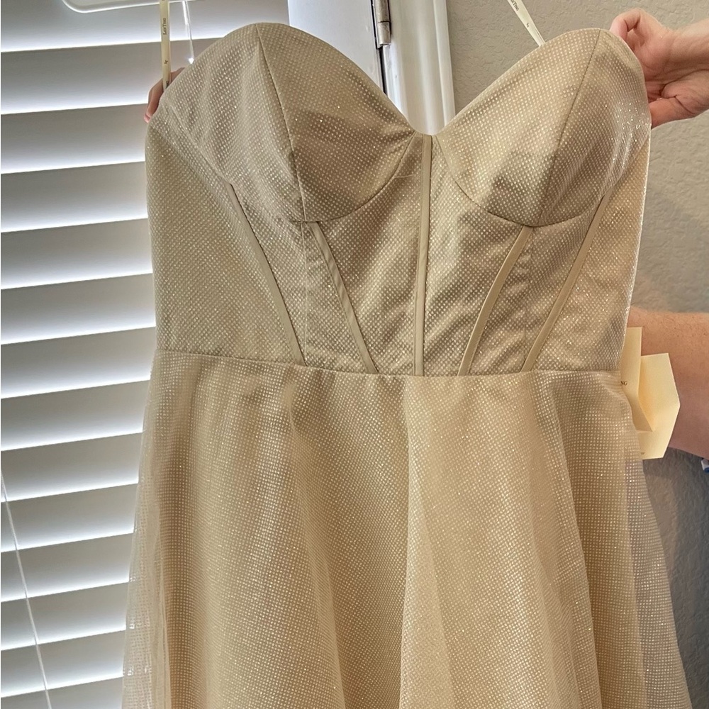 Champagne Glitter Tulle over Satin dress